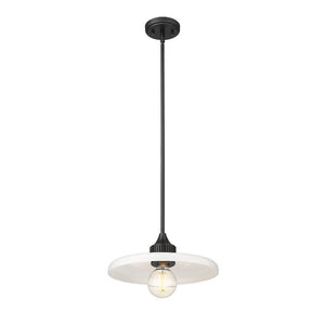 Paloma 1-Light 14" Pendant