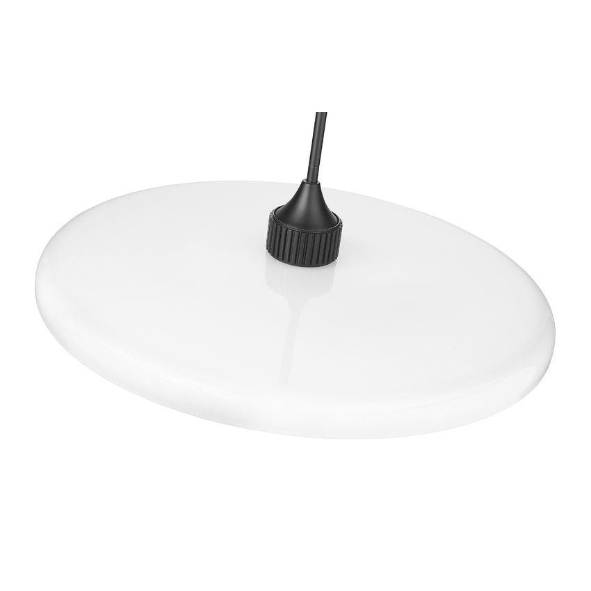 Paloma 1-Light 24" Pendant