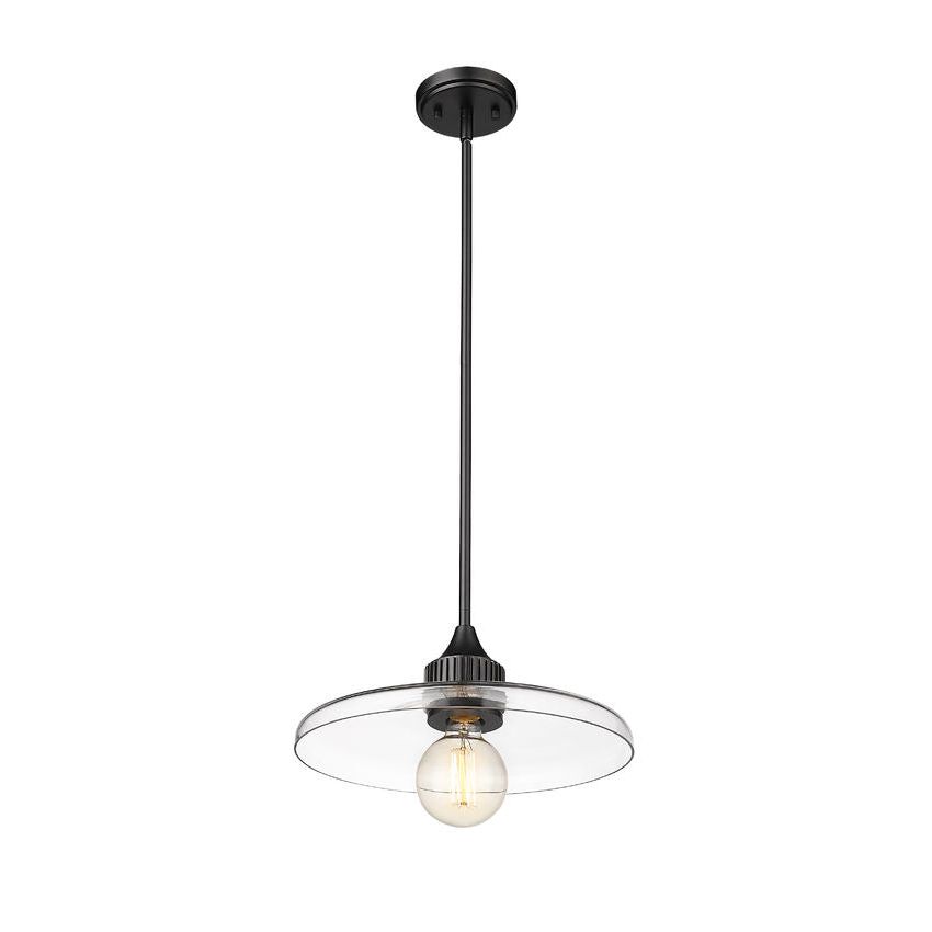 Paloma 1-Light 14" Pendant