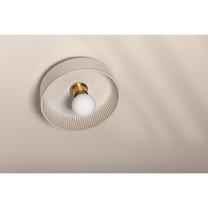 Ray 1-Light Flush Mount