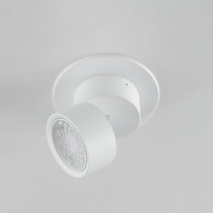 Swinger Mini Adjustable LED Flush Mount