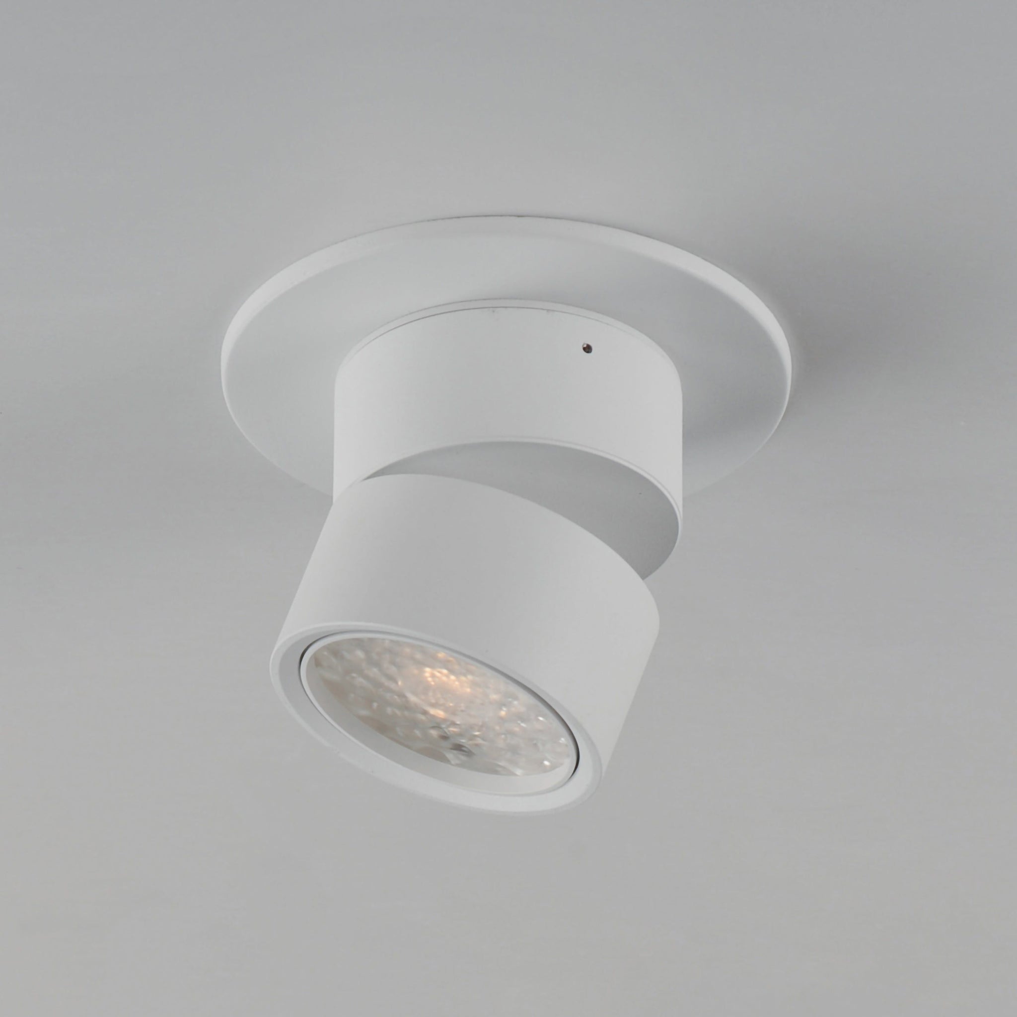 Swinger Mini Adjustable LED Flush Mount