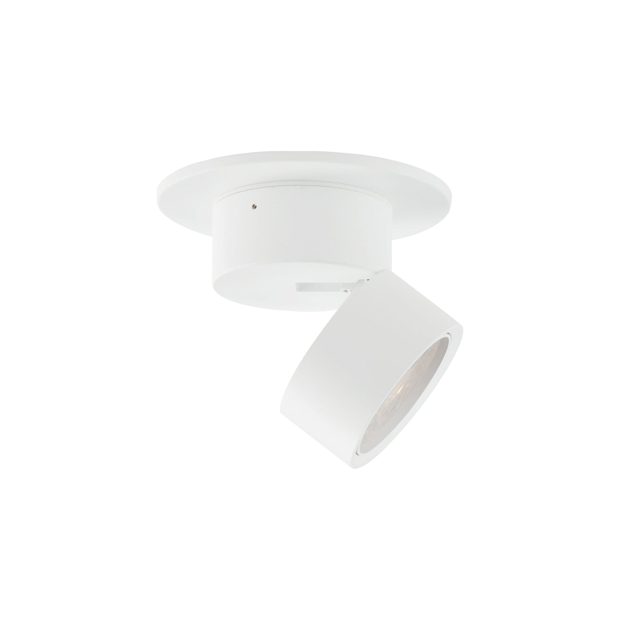 Swinger Mini Adjustable LED Flush Mount