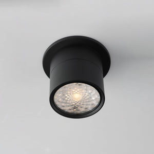 Swinger 5.25" Adjustable LED Flush Mount