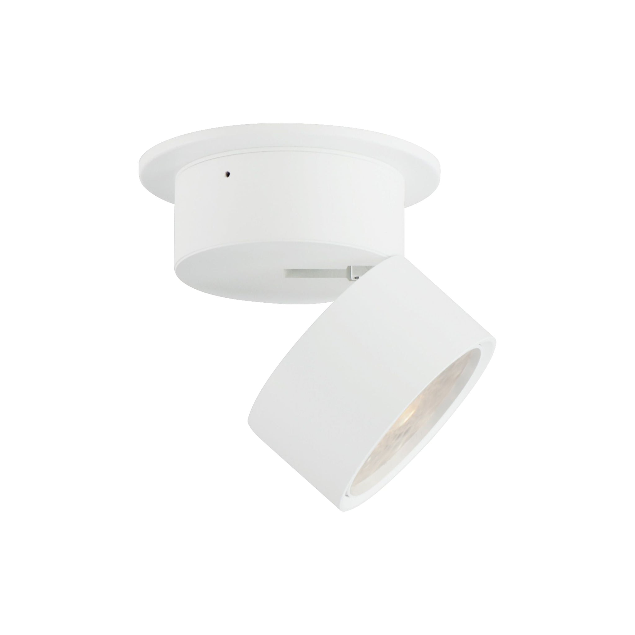 Swinger 5.25" Adjustable LED Flush Mount