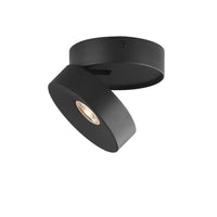 Swinger Adjustable LED Flush Mount