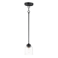 Acadia 1-Light Pendant
