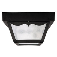 1-Light Outdoor Flush Mount