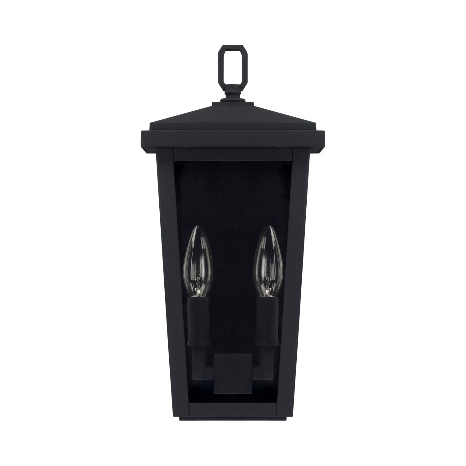Donnelly 2-Light Outdoor Wall Lantern