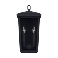 Donnelly 2-Light Outdoor Wall Lantern