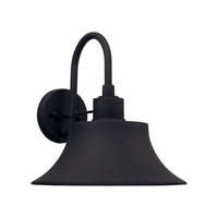 Brock 1-Light Outdoor Wall Lantern