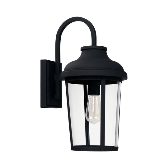 Dunbar 1-Light Outdoor Wall Lantern
