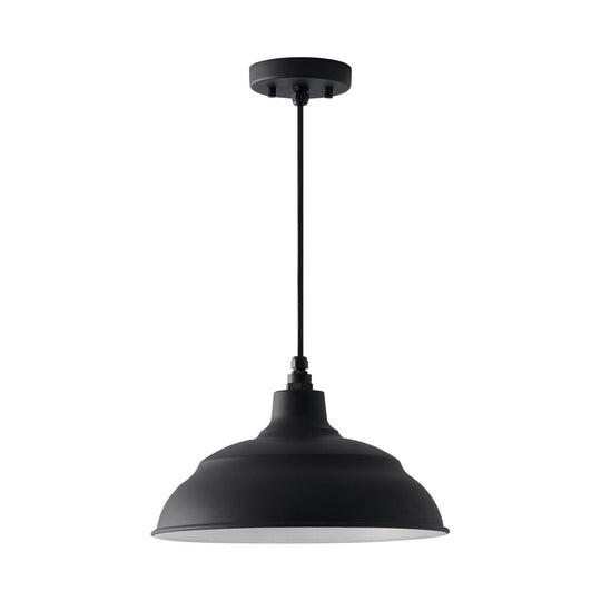 RLM 1-Light Outdoor Hanging Lantern