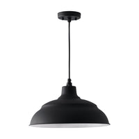 RLM 1-Light Outdoor Hanging Lantern