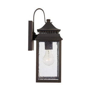 Sutter Creek 1-Light Outdoor Wall Lantern