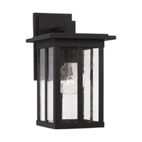 Barrett 1-Light Outdoor Wall Lantern