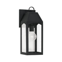 Burton 1-Light Outdoor Wall Lantern