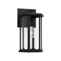 Walton 1-Light Outdoor Wall Lantern