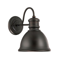 1-Light Outdoor Wall Lantern