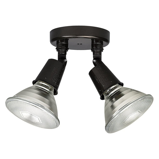 2-Light Outdoor Floodlight