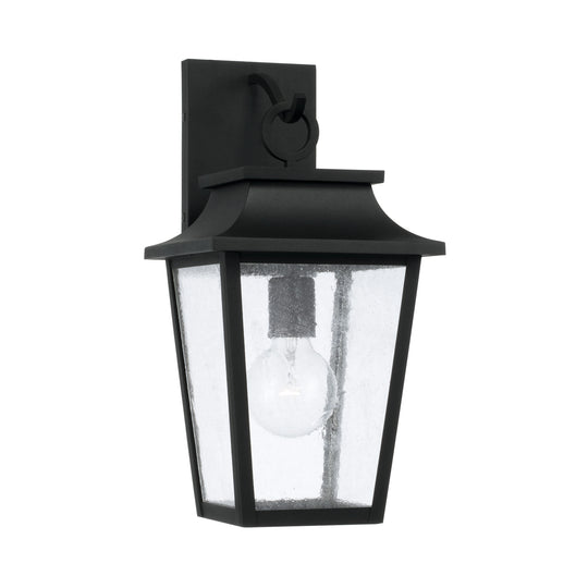 Chandler 1-Light Outdoor Wall Lantern