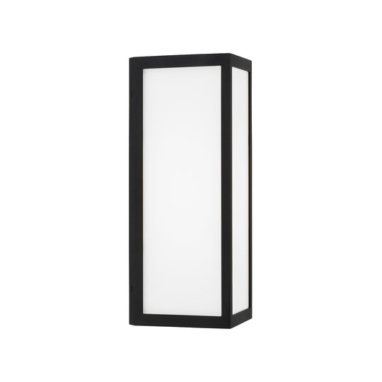 Irvin 1-Light Outdoor Wall Lantern