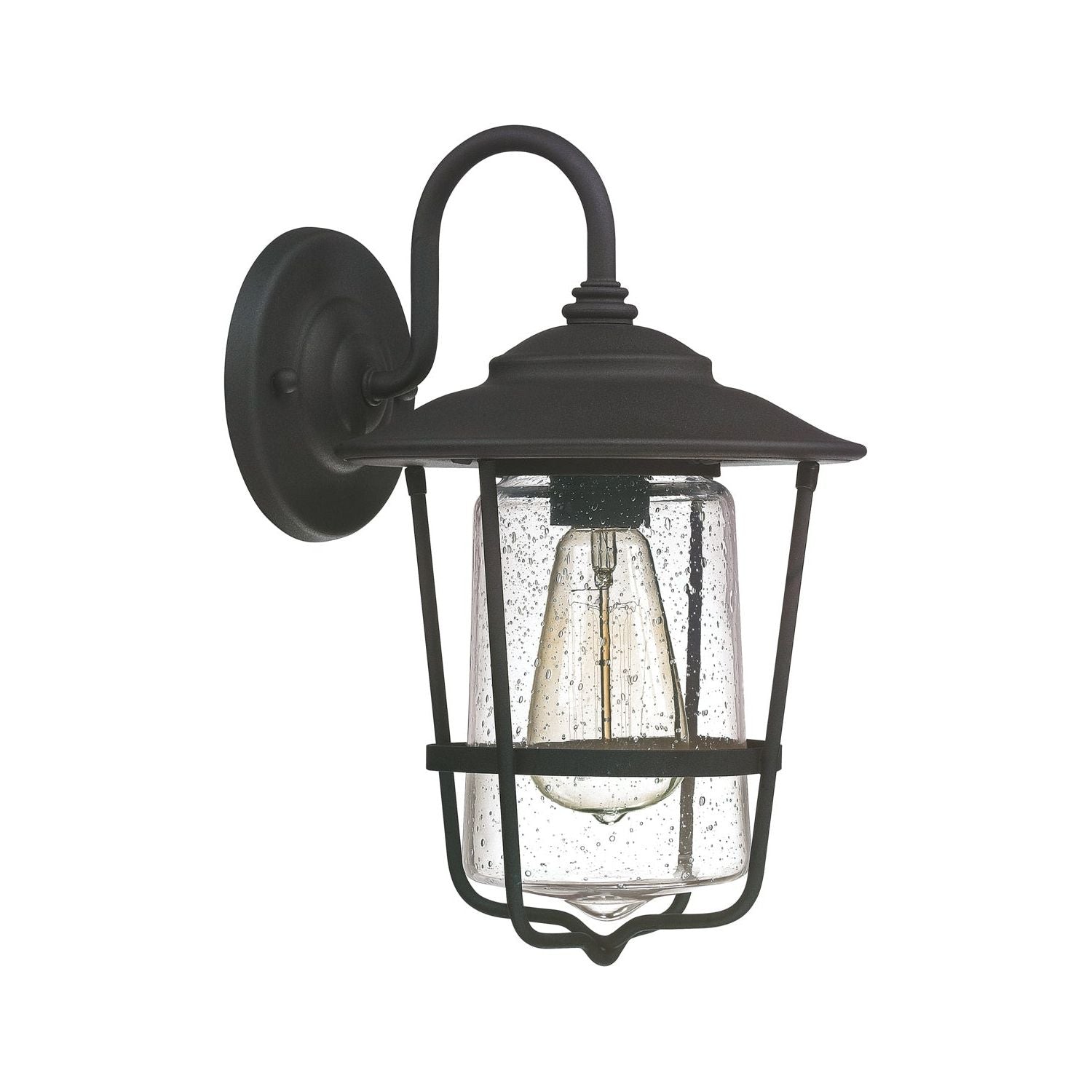 Creekside 1-Light Outdoor Wall Lantern