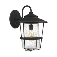 Creekside 1-Light Outdoor Wall Lantern