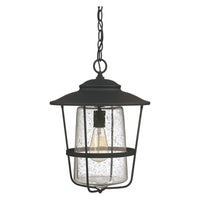 Creekside 1-Light Outdoor Hanging Lantern