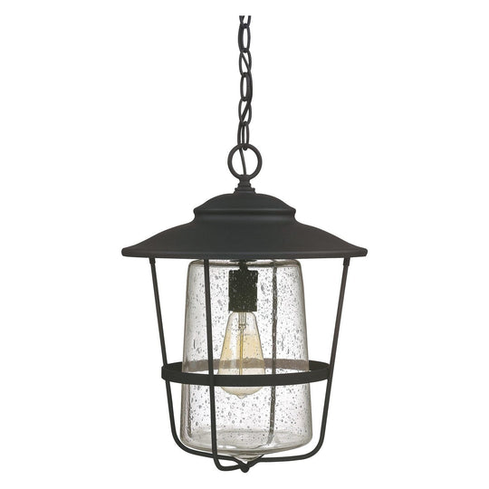 Creekside 1-Light Outdoor Hanging Lantern