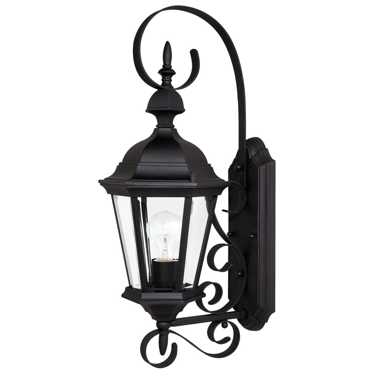 Carriage House 1-Light Outdoor Wall Lantern