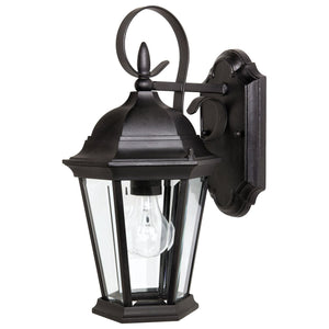 Carriage House 1-Light Outdoor Wall Lantern