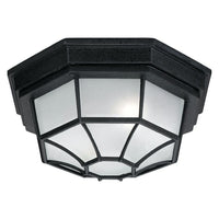 2-Light Outdoor Flush Mount