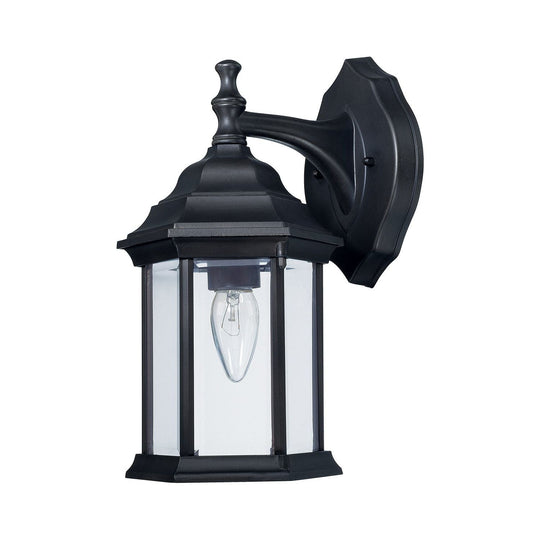 1-Light Outdoor Wall Lantern