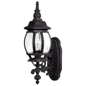 French Country 1-Light Outdoor Wall Lantern