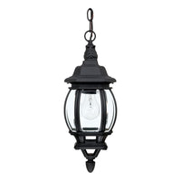 French Country 1-Light Outdoor Hanging Lantern