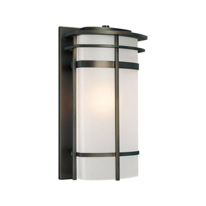 Lakeshore 1-Light Outdoor Wall Lantern