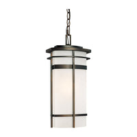 Lakeshore 1-Light Outdoor Hanging Lantern
