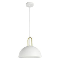 Calmanera 1-Light Pendant