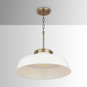 Oakwood 1-Light Pendant