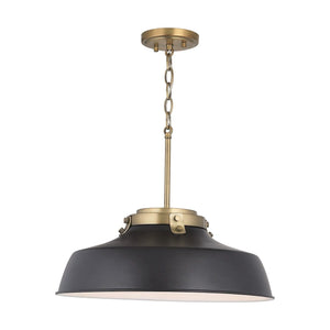 Oakwood 1-Light Pendant