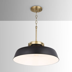 Oakwood 1-Light Pendant