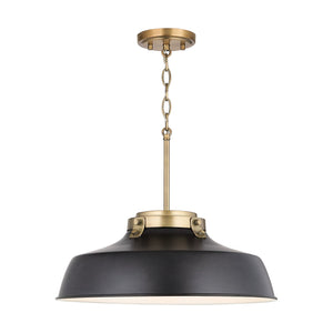 Oakwood 1-Light Pendant