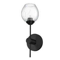 Abii 1-Light Wall Sconce