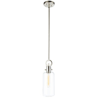 Single Large Glass Clear Pendant