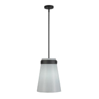 Dahlia 1-Light Pendant 12"