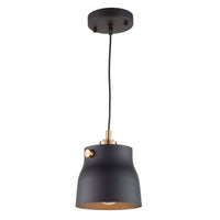Euro Industrial Pendant