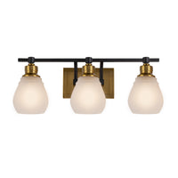 Nelson 3-Light Vanity Light