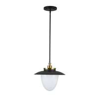 Dahlia 1-Light Pendant 15"