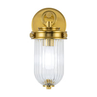 Myla 1-Light Wall Sconce